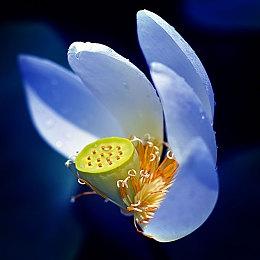 《戴森球计划》将增加“元数据”系统 4月21日晚更新